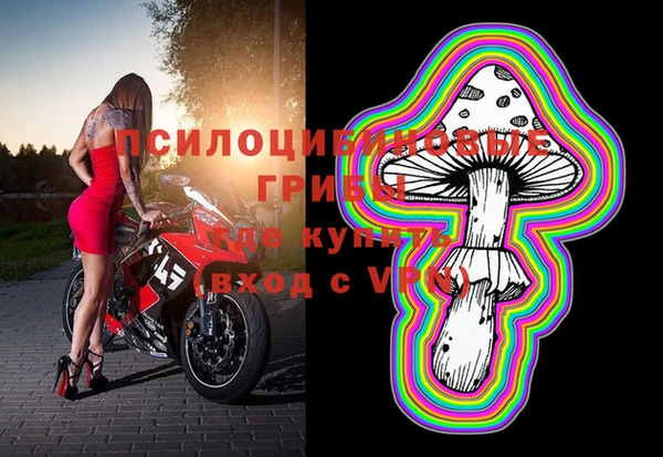 таблы Арсеньев