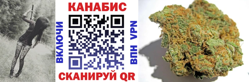 продажа наркотиков  Верея  Шишки марихуана сатива 